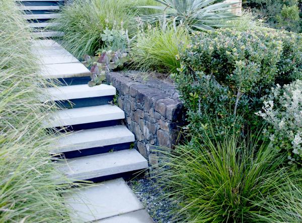 Landscape stairs and planting